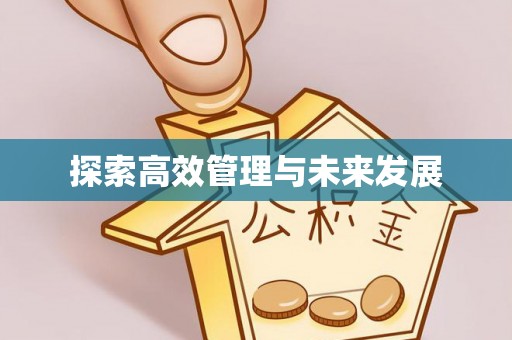 带岭探索高效管理与未来发展