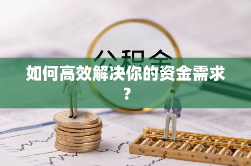 带岭如何高效解决你的资金需求？