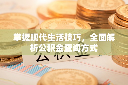 带岭掌握现代生活技巧，全面解析公积金查询方式
