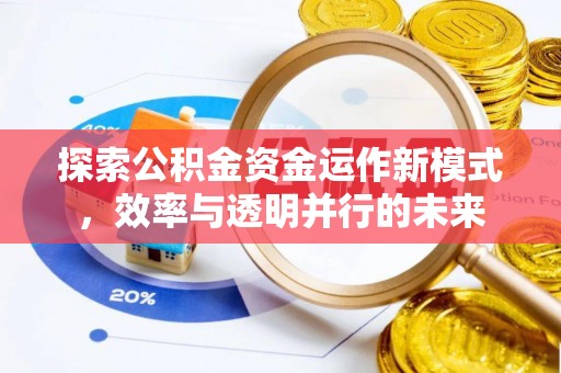 带岭探索公积金资金运作新模式，效率与透明并行的未来