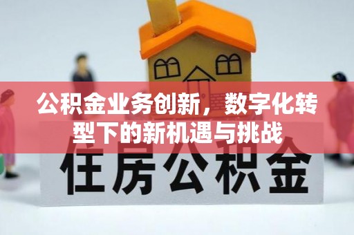 带岭公积金业务创新，数字化转型下的新机遇与挑战