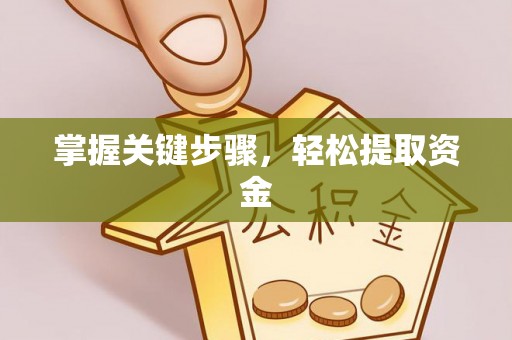带岭掌握关键步骤，轻松提取资金
