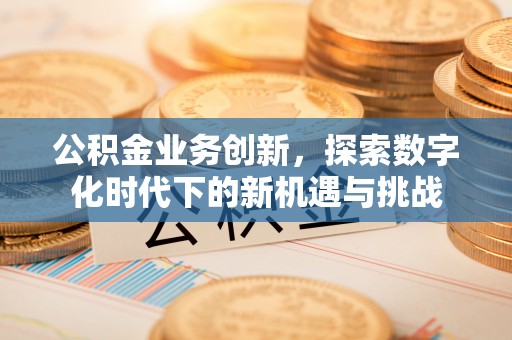 带岭公积金业务创新，探索数字化时代下的新机遇与挑战