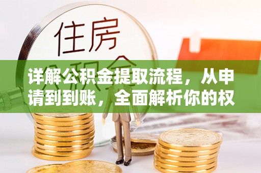 带岭详解公积金提取流程，从申请到到账，全面解析你的权益与操作步骤