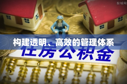 带岭构建透明、高效的管理体系