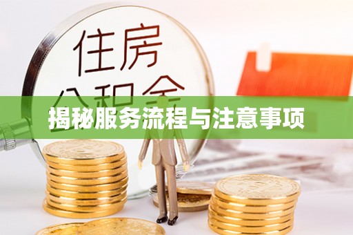 带岭揭秘服务流程与注意事项