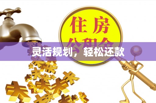 带岭灵活规划，轻松还款