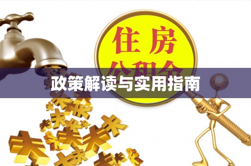 带岭政策解读与实用指南