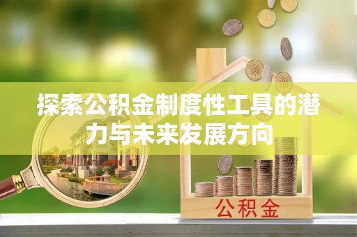 带岭探索公积金制度性工具的潜力与未来发展方向