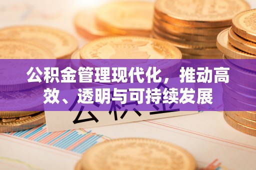 带岭公积金管理现代化，推动高效、透明与可持续发展