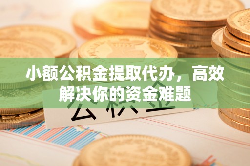 带岭小额公积金提取代办，高效解决你的资金难题