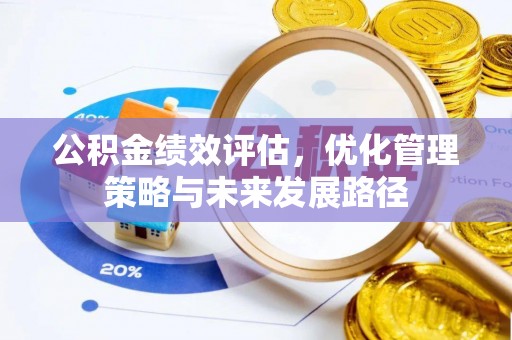 带岭公积金绩效评估，优化管理策略与未来发展路径