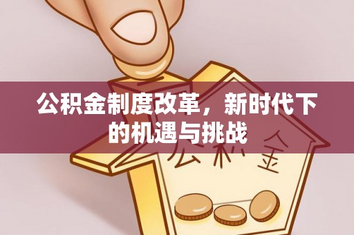 带岭公积金制度改革，新时代下的机遇与挑战
