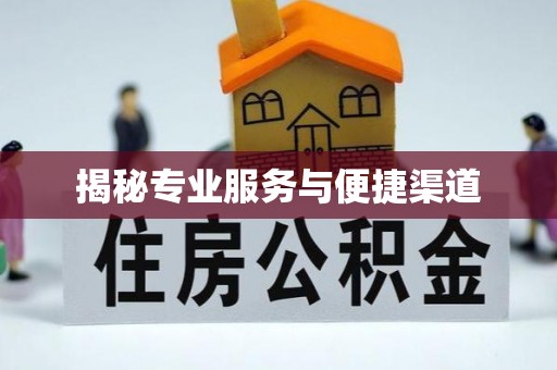 带岭揭秘专业服务与便捷渠道