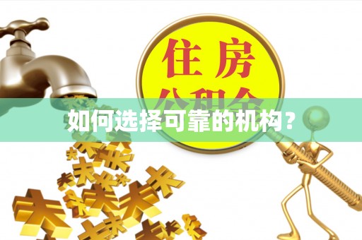 带岭如何选择可靠的机构？