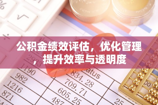 带岭公积金绩效评估，优化管理，提升效率与透明度