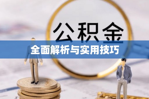 带岭全面解析与实用技巧