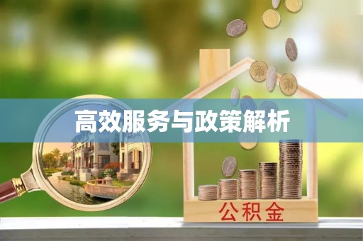带岭高效服务与政策解析