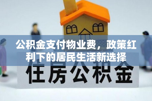 带岭公积金支付物业费，政策红利下的居民生活新选择