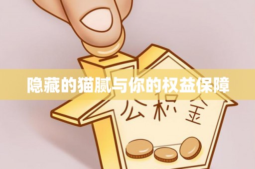 带岭隐藏的猫腻与你的权益保障
