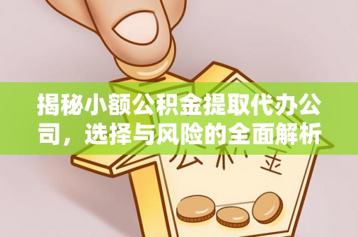 带岭揭秘小额公积金提取代办公司，选择与风险的全面解析