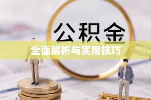 带岭全面解析与实用技巧