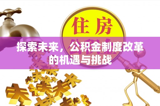 带岭探索未来，公积金制度改革的机遇与挑战