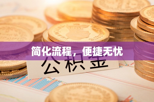 带岭简化流程，便捷无忧