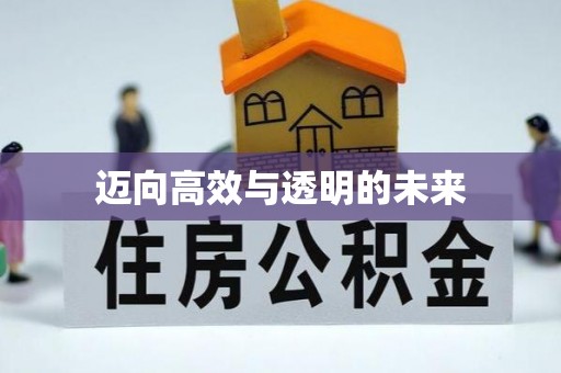 带岭迈向高效与透明的未来