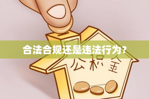 带岭合法合规还是违法行为？
