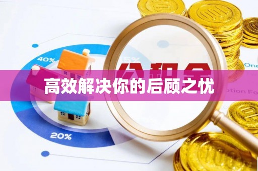 带岭高效解决你的后顾之忧
