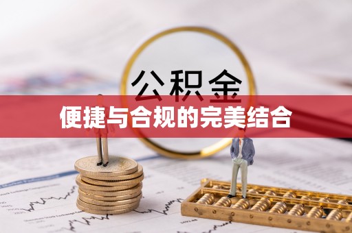 带岭便捷与合规的完美结合