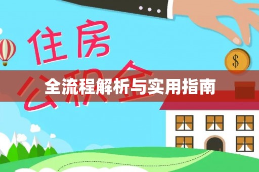 带岭全流程解析与实用指南