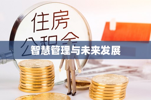 带岭智慧管理与未来发展