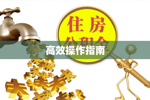 带岭高效操作指南