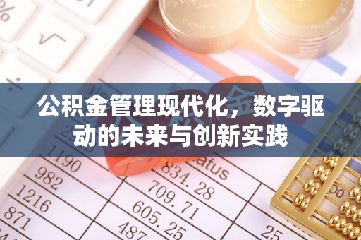 带岭公积金管理现代化，数字驱动的未来与创新实践
