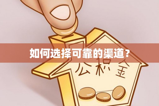 带岭如何选择可靠的渠道？