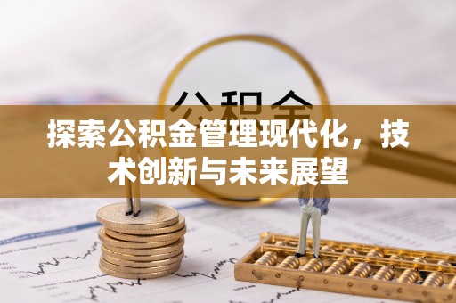 带岭探索公积金管理现代化，技术创新与未来展望