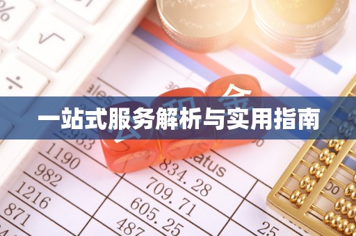 带岭一站式服务解析与实用指南