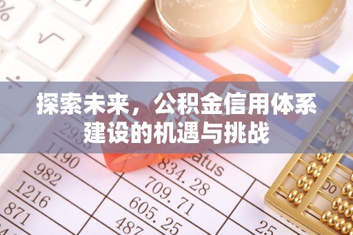 带岭探索未来，公积金信用体系建设的机遇与挑战