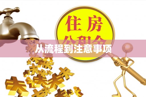 带岭从流程到注意事项