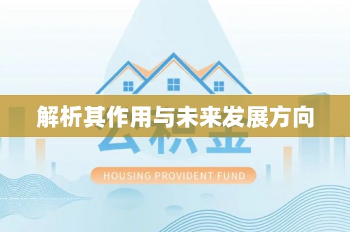 带岭解析其作用与未来发展方向