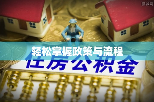 带岭轻松掌握政策与流程