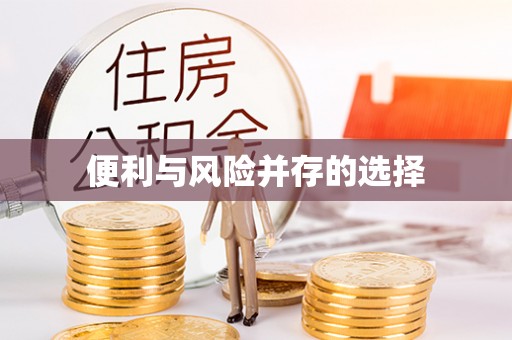 带岭便利与风险并存的选择