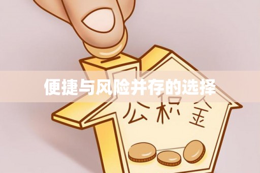 带岭便捷与风险并存的选择