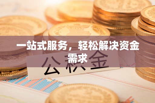 带岭一站式服务，轻松解决资金需求